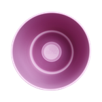 brussels diamond orchidee hoch 12,5cm kräftiges violet